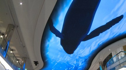 Voici le premier paquebot au gaz construit en France