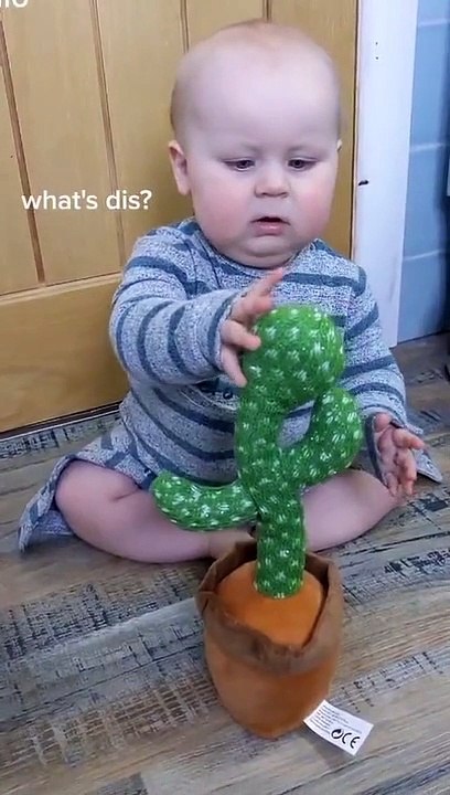 VIDEO BAYI LUCU 2022