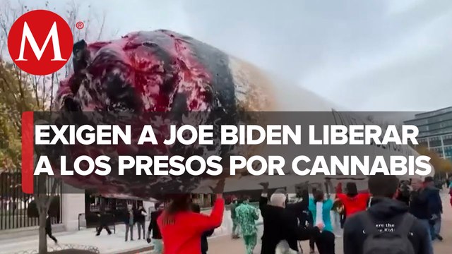 Manifestantes llevan cigarro de 15 metros frente a la Casa Blanca en Washington D.C.