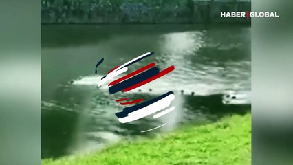 İki su samuru ailesinin arasında çıkan büyük kavga kamerada