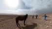 Quand le changement climatique menace les derniers nomades du sud du Maroc