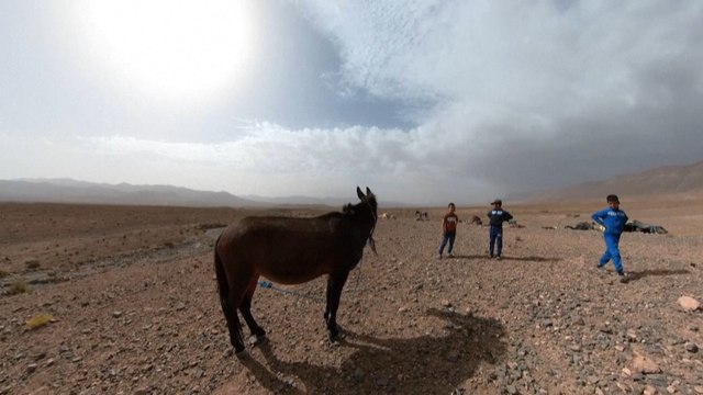 Quand le changement climatique menace les derniers nomades du sud du Maroc