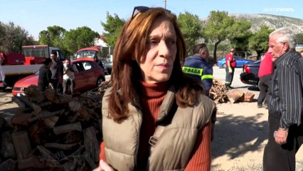 In der Energiekrise gibt's Brennholz von der Stadt