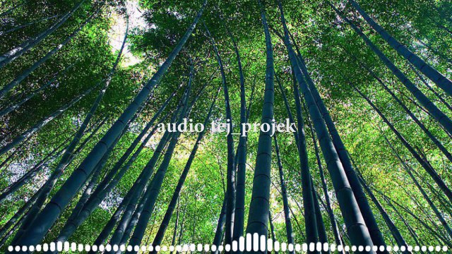 No copyright music Happy Backsound