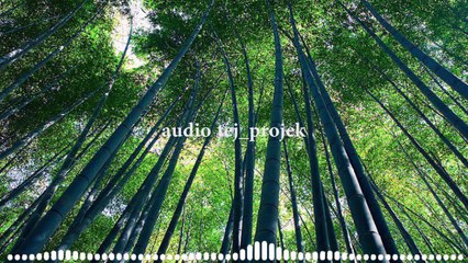 No copyright music Happy Backsound