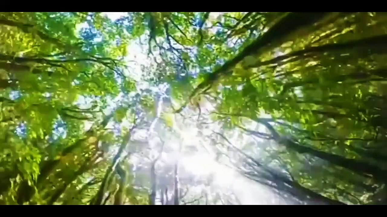 Cinematic Alam Sebelum Tidur