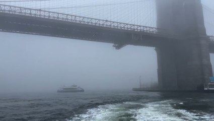 Dense fog reduces visibility