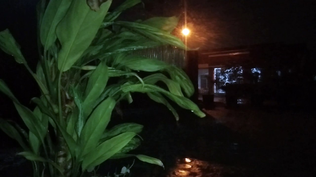 Hujan Lebat Malam Hari