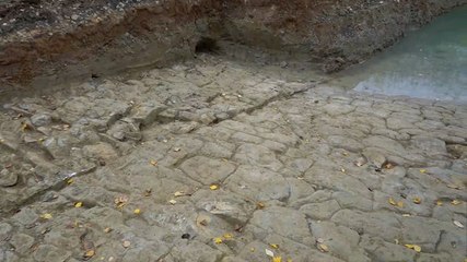 Hidden Roman road dating back 2,000 years uncovered in Worcestershire