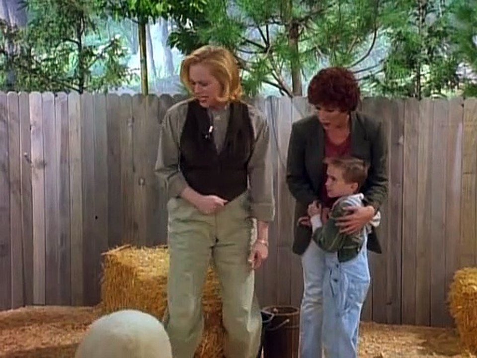 Cybill Staffel 3 Folge 14 HD Deutsch