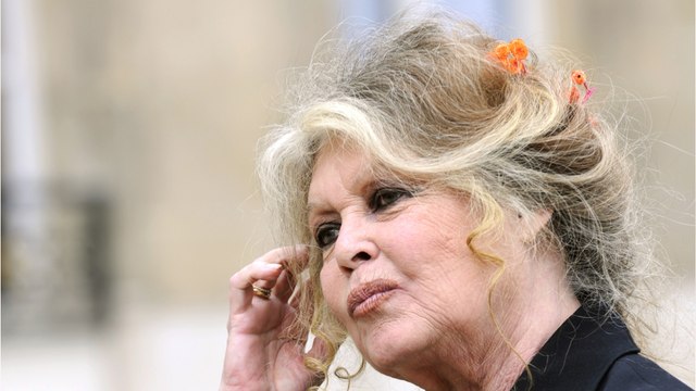 GALA VIDEO - Stupeur et tristesse” : Brigitte Bardot choquée par une vente aux enchères, elle pousse un coup de gueule