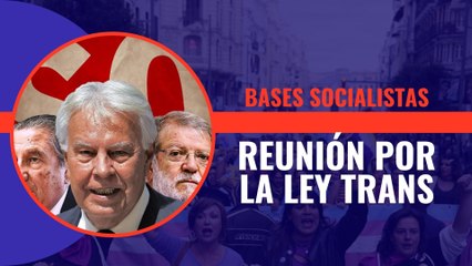Las bases socialistas exigen una reunión urgente para debatir sobre la Ley trans