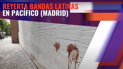Reyerta de bandas latinas en Pacífico (Madrid)