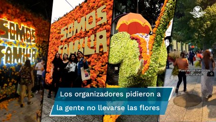 Asistentes se roban las flores del festival de Polanco; usuarios en redes los critican