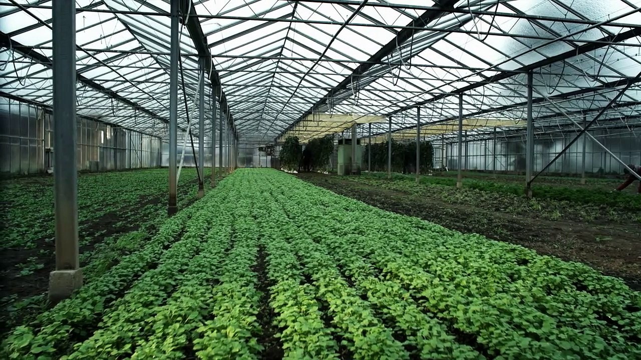 SOKO Köln Staffel 12 Folge 23 HD Deutsch