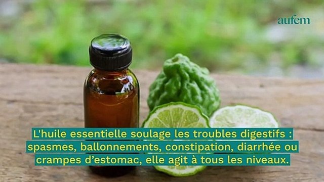 Bergamote : découvrez ses bienfaits