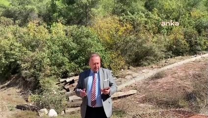 Altın için 190 bin ağaç kesilmesi gündemde!