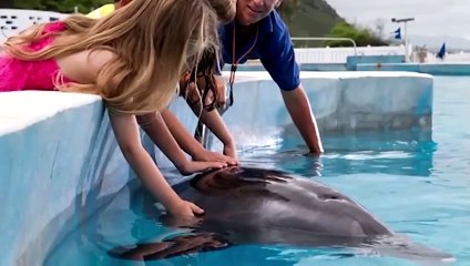 15 Most Unreal Hybrid Animals Created By Scientists