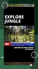 KETINGGALAN ROMBONGAN DITENGAH HUTAN