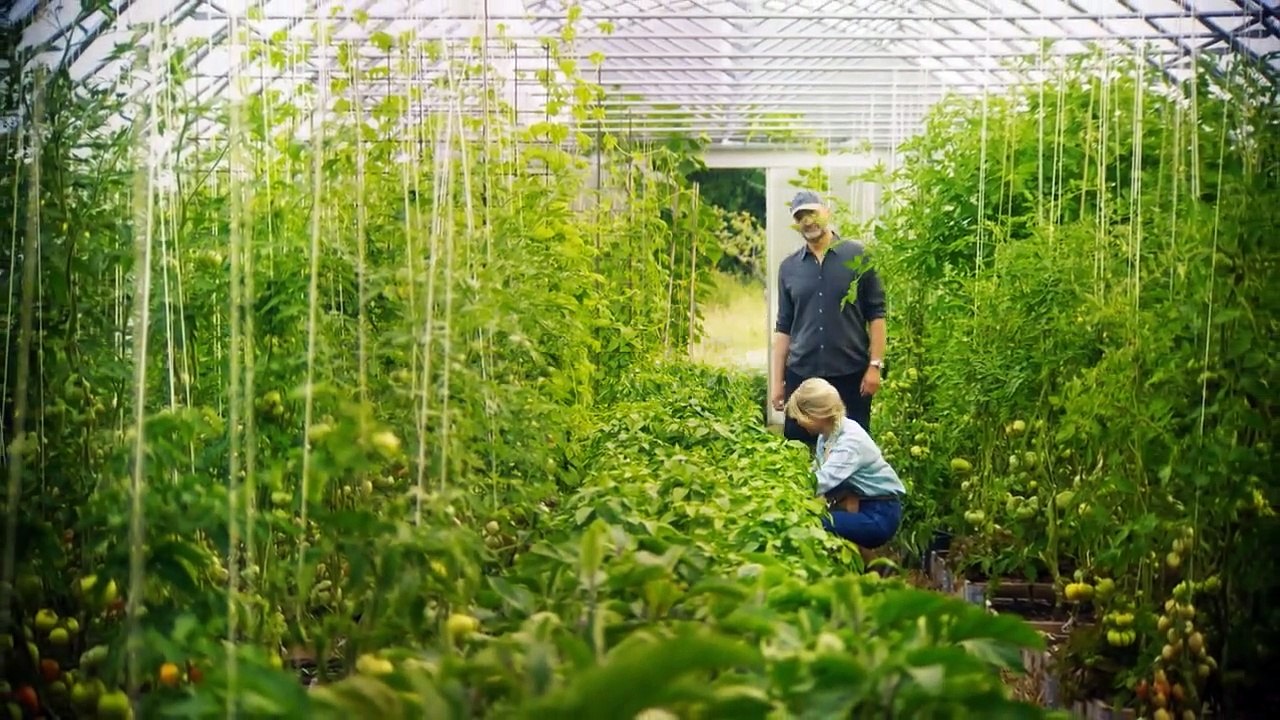 Partisan - Farm des Bösen Staffel 1 Folge 3 HD Deutsch