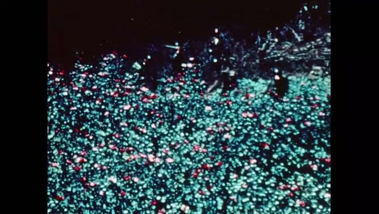 Drug Lords Staffel 1 Folge 3 HD Deutsch