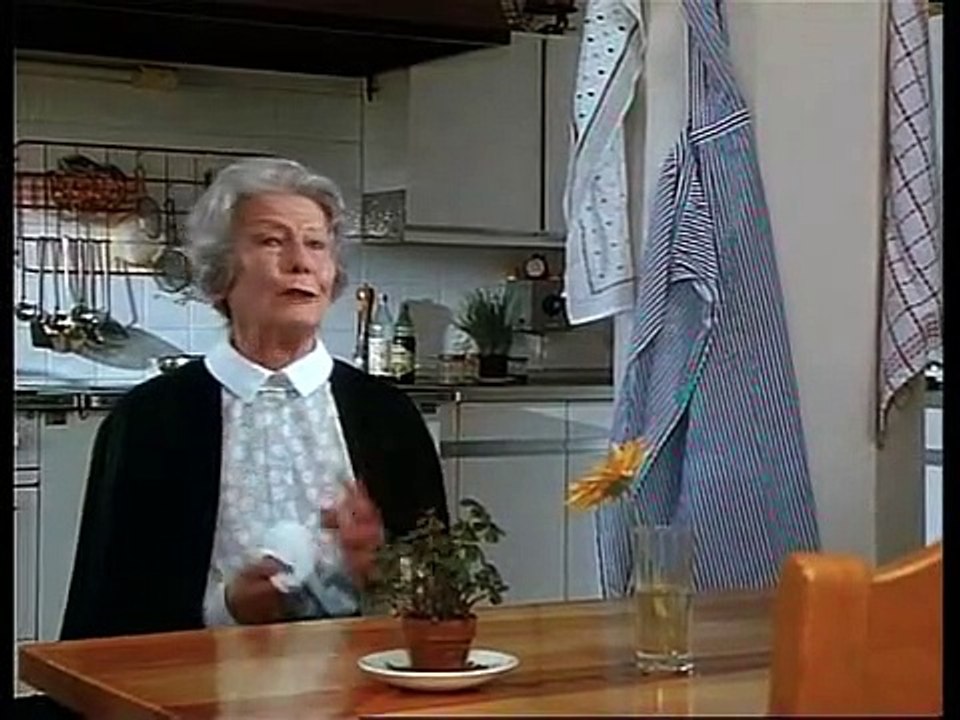 Der Alte Staffel 13 Folge 3 HD Deutsch