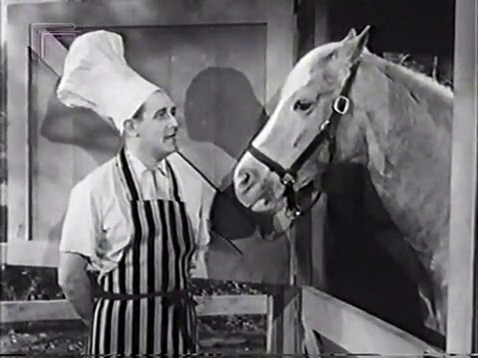 Mr. Ed Staffel 3 Folge 26 HD Deutsch