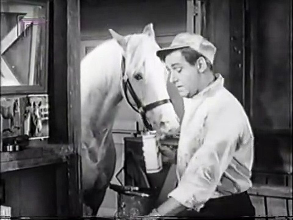 Mr. Ed Staffel 4 Folge 10 HD Deutsch