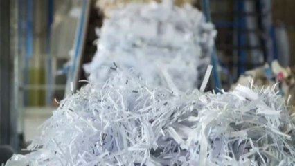 Rapporto 2022 Unirima: Italia seconda in Europa in riciclo carta
