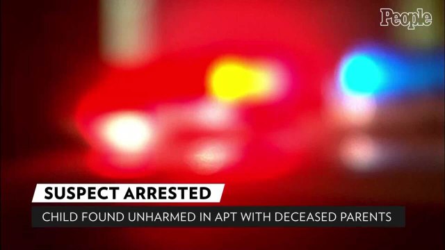 After a Child Was Left in an Apartment for Days with Deceased Parents, a Suspect Is Arrested in N.Y.