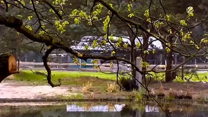 Newtopia Staffel 1 Folge 48 HD Deutsch