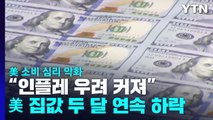 美 소비 심리 악화...소비자신뢰지수 3개월 만에 하락·집값도 하락 / YTN