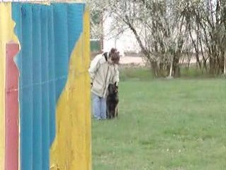 MOV06764