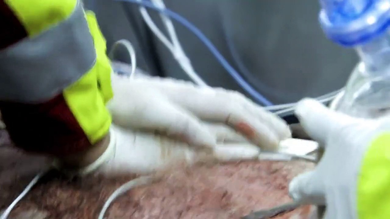 Kommissarin Lund Staffel 1 Folge 9 - Part 02 HD Deutsch