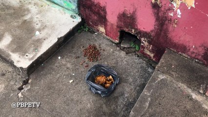 CACHORRO  DE RUA PRECISA SER RESGATADO EM ITAMBÉ