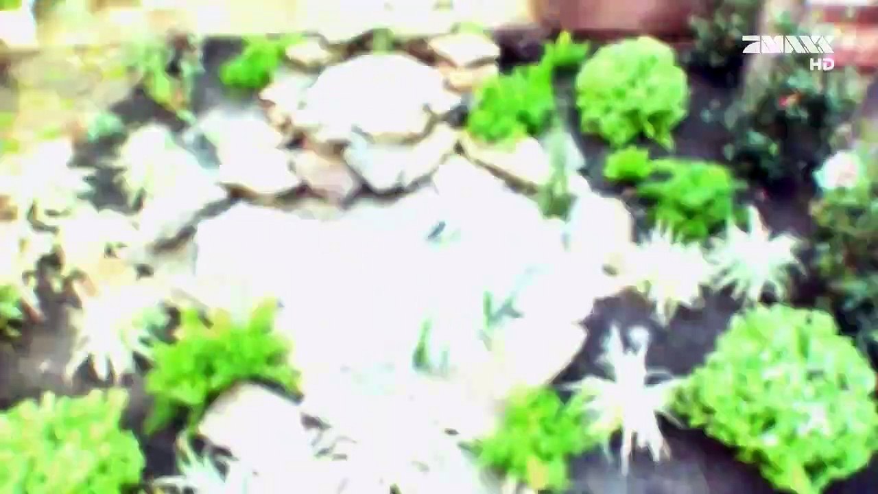 Yardcore Nur die Harten bekommen einen Garten Staffel 2 Folge 5 HD