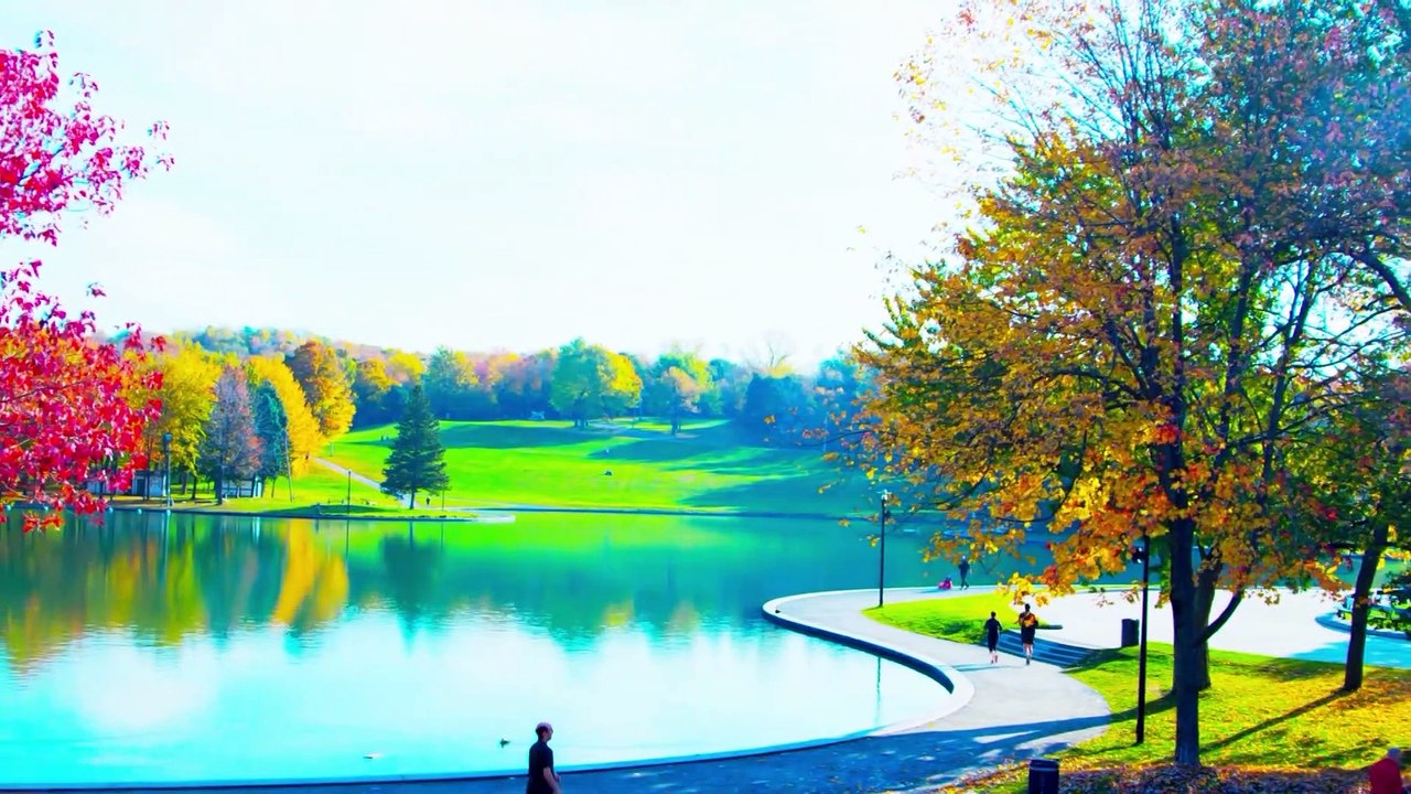 Compartilhamento de notícias bloqueado: entenda medida do Facebook