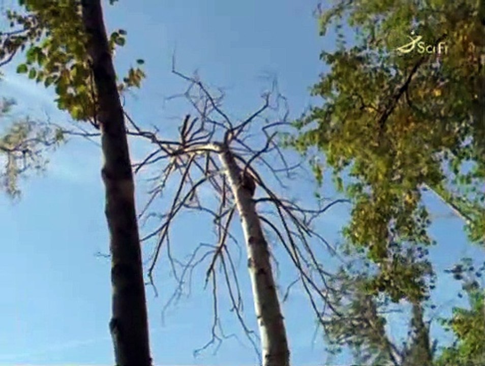 Outer Limits - Die unbekannte Dimension Staffel 6 Folge 6 HD Deutsch