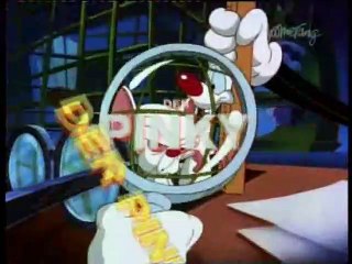 Pinky & der Brain Staffel 3 Folge 23 HD Deutsch