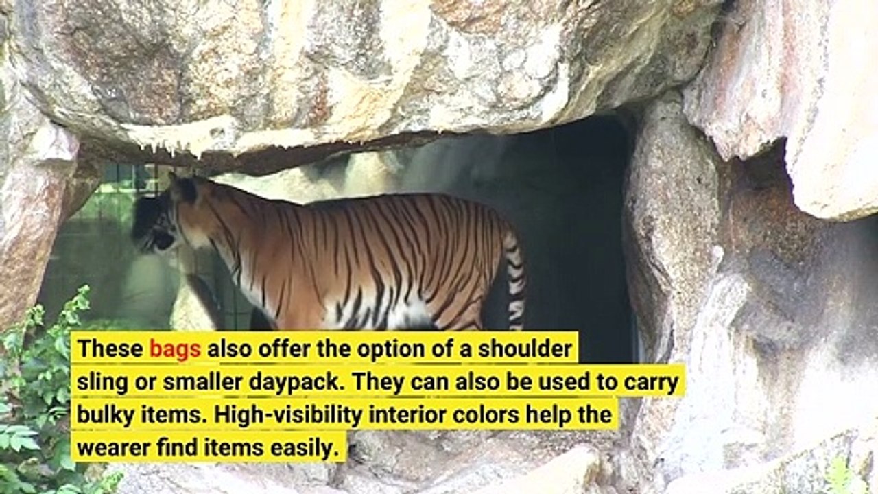 How to Select a Shoulder Bag