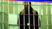 Brittney Griner speaks from behind bars as Russian court rejects appeal against