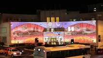 Watch as artwork is projected onto Wollongong Art Gallery/Illawarra Mercury/ 26 October 2022