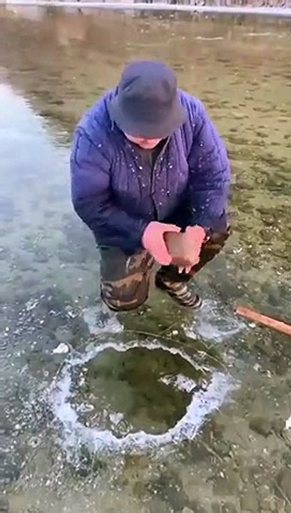 Funny video 2022