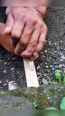 Satisfying of Light a fire with wood