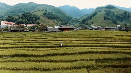 Stay With Me - Music Travel Love (Sam Smith Cover)