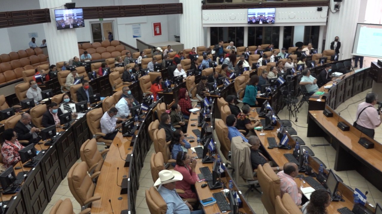 Asamblea Nacional aprobará ley especial para la vigencia de las cédulas de identidad vencidas