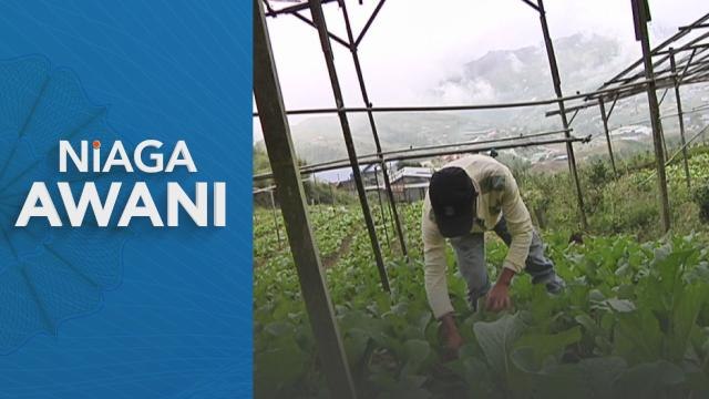 Sektor Pertanian | Tugas berat jamin keselamatan makanan