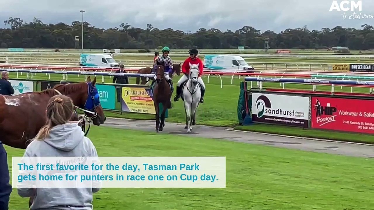 The first favorite for the day, Tasman Park gets home for punters in race one on Cup day | October 26, 2022 | Bendigo Advertiser
