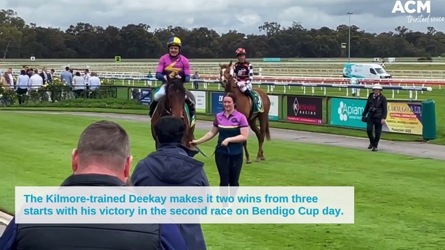 The Kilmore-trained Deekay makes it two wins from three starts with his victory in the second race on Bendigo Cup day | October 26, 2022 | Bendigo Advertiser