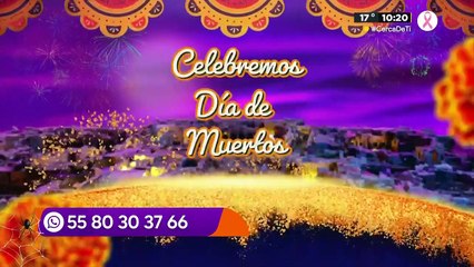 Vivalavi Mx - 25 de octubre del 2022